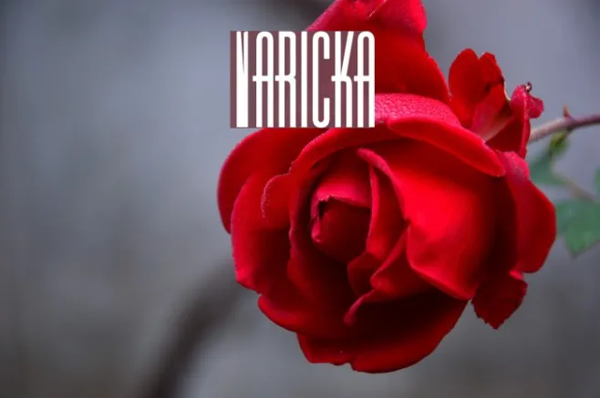 Varicka Example 2