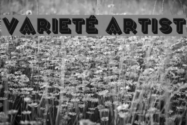 Varieté Artist Font examples