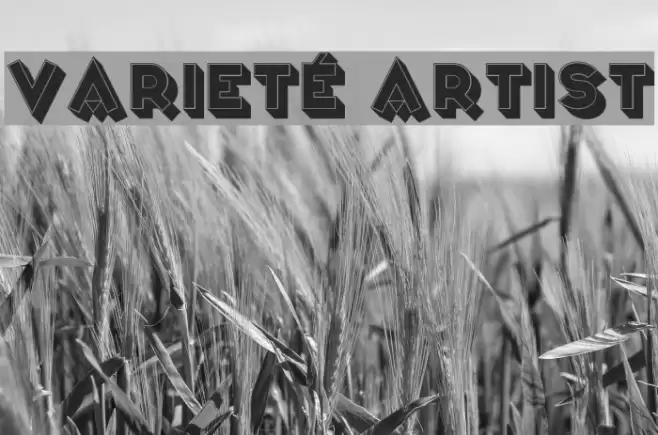 Varieté Artist Font examples