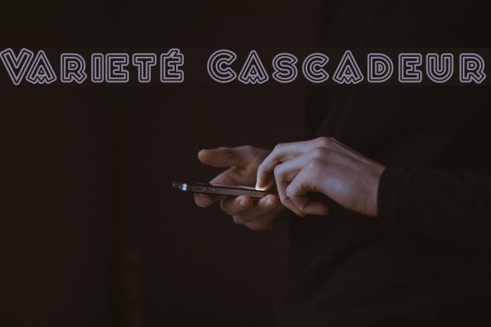 Varieté Cascadeur Font examples