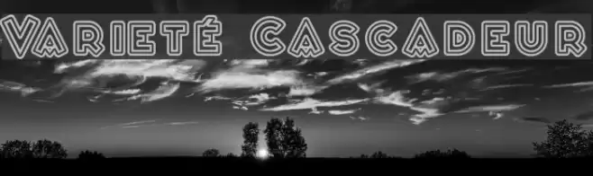 Varieté Cascadeur Font examples