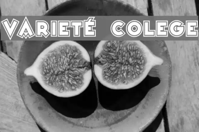 Varieté Colege Polices examples