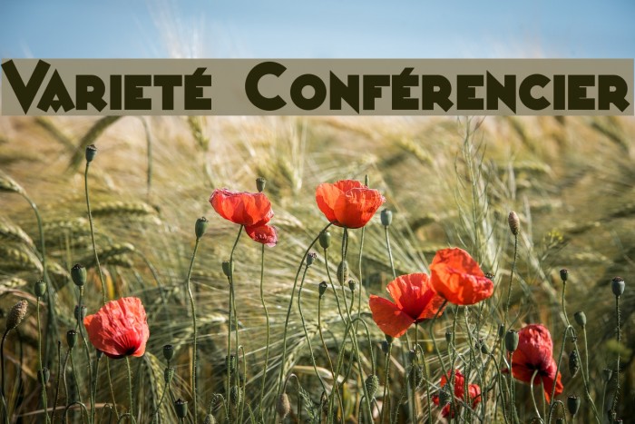 Varieté Conférencier Font examples