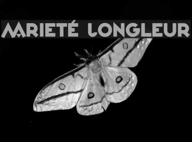 Varieté Jongleur Font examples