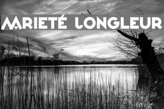 Varieté Jongleur Font examples