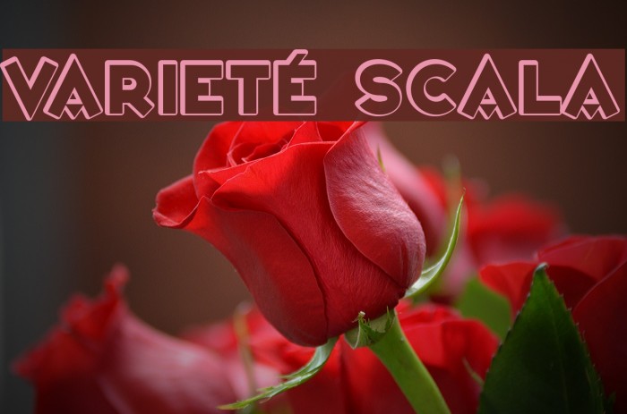 Varieté Scala Font examples