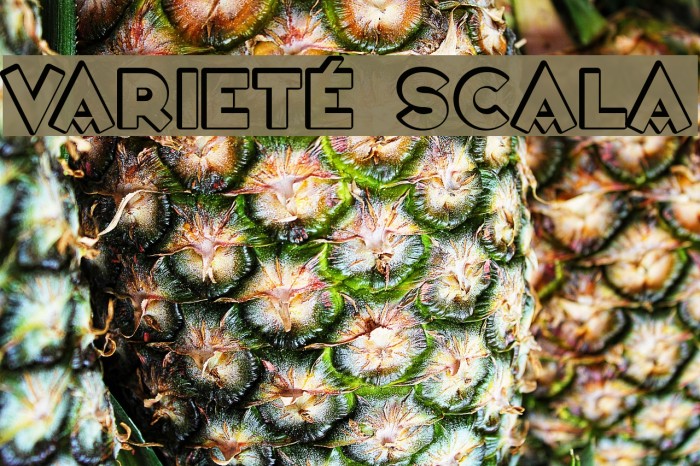 Varieté Scala Font examples