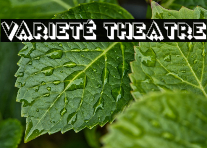 Varieté Theatre Font examples