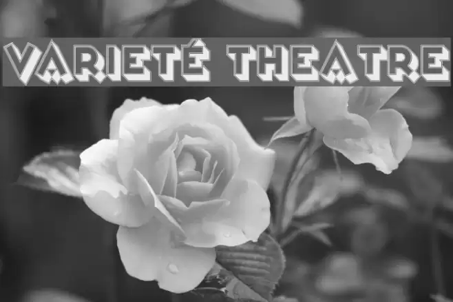 Varieté Theatre Fuentes examples