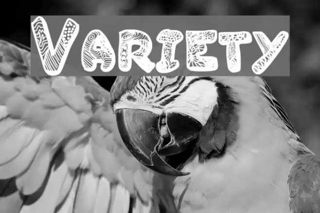 Variety Font examples