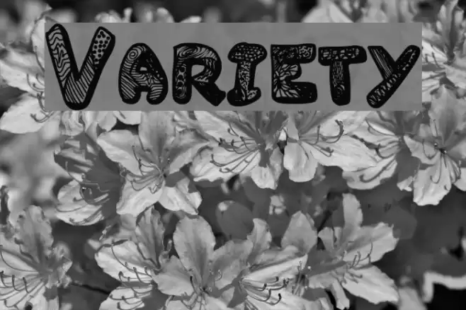 Variety Font examples