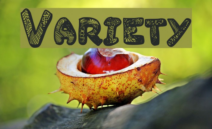 Variety Font examples
