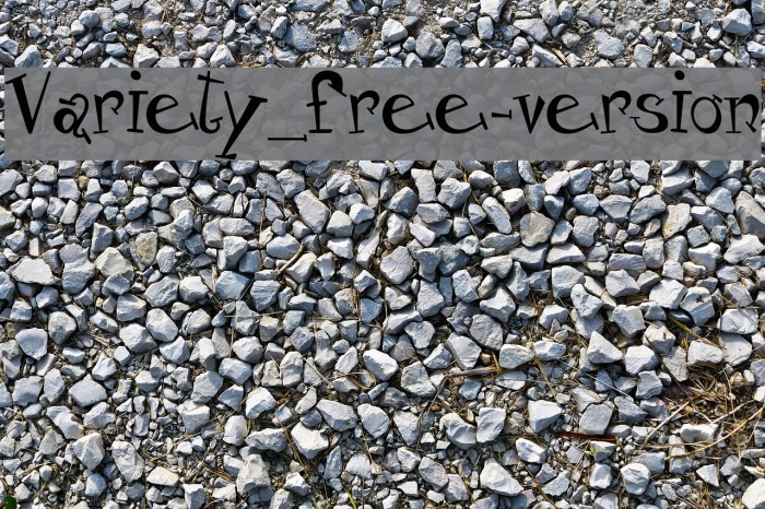 Variety_free-version Polices examples
