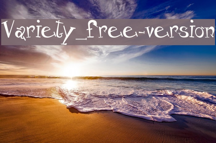 Variety_free-version Polices examples
