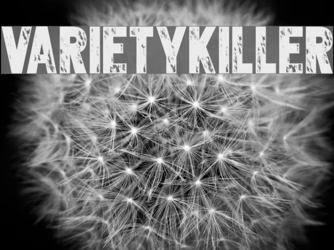 Varietykiller Example 3