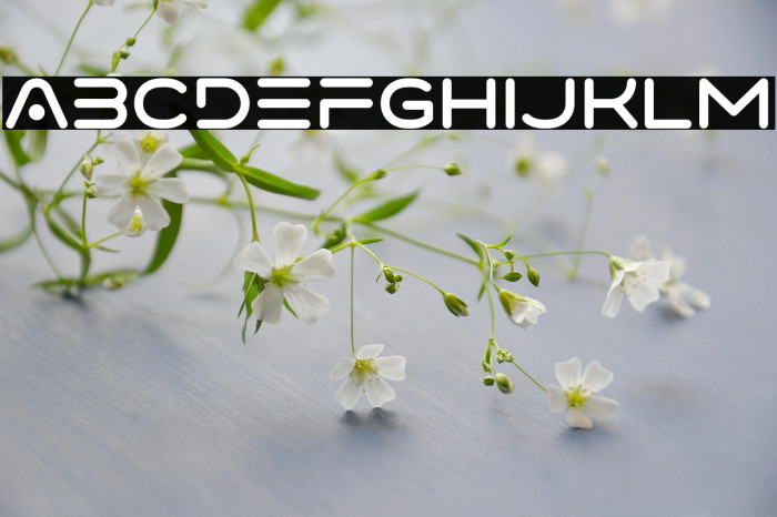 VarinoNormal-Regular Example 1