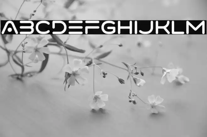 VarinoNormal-Regular Font examples