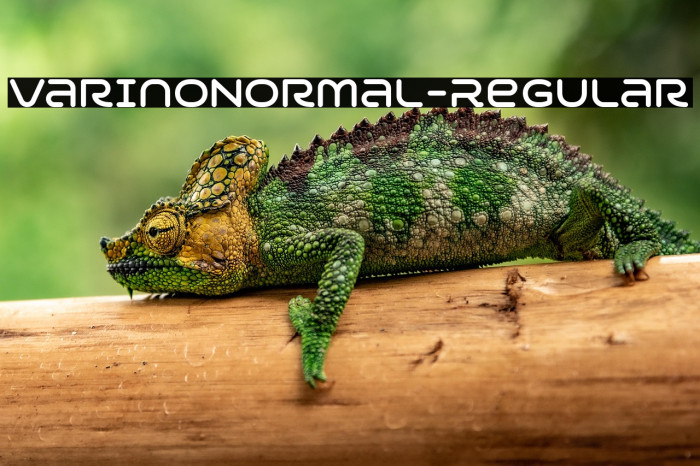 VarinoNormal-Regular Example 1