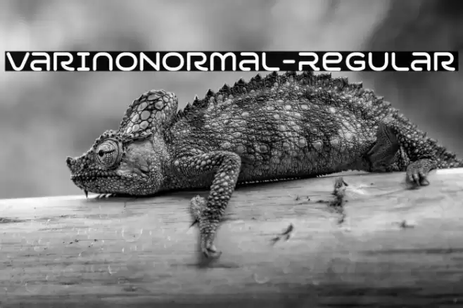 VarinoNormal-Regular Font examples