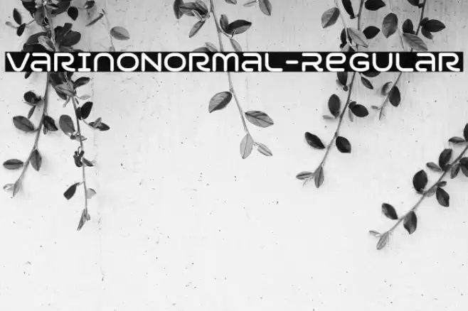 VarinoNormal-Regular Font examples