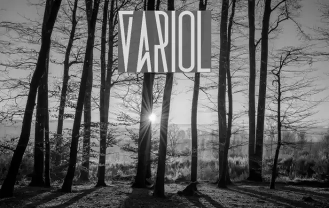 Variol Font examples