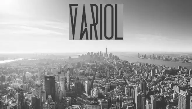 Variol Font examples