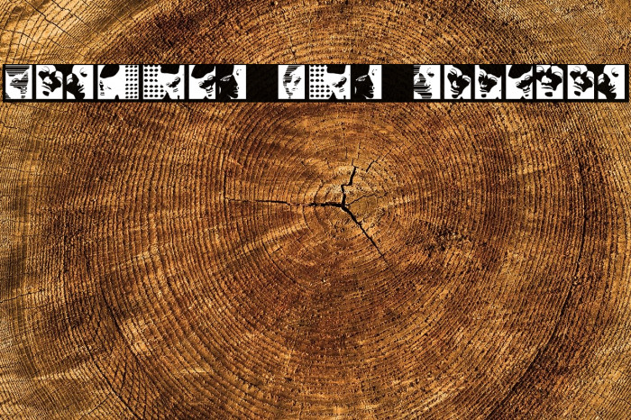 Various Boys Regular Example 1