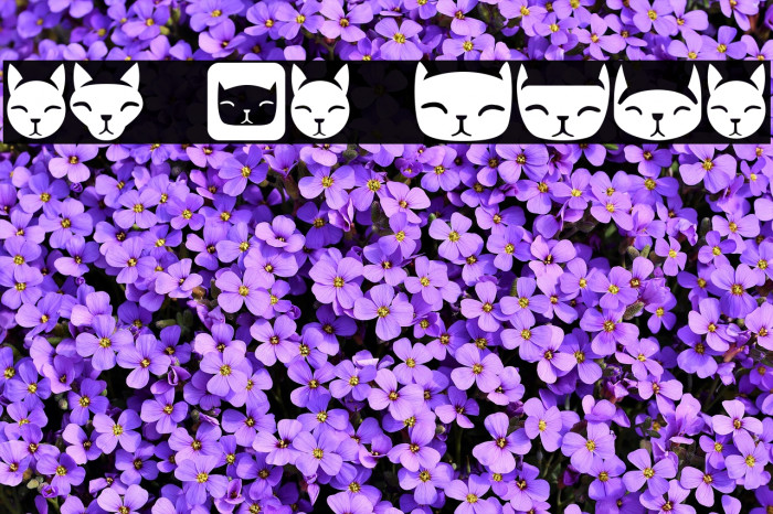 Various Cats Regular Example 1