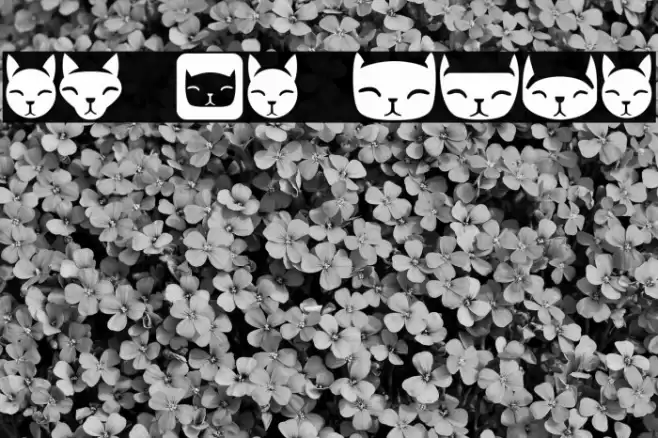 Various Cats Regular Font examples