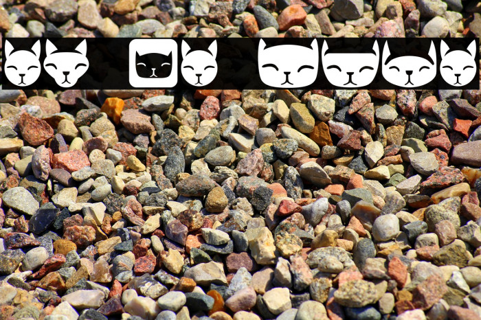 Various Cats Regular Example 2