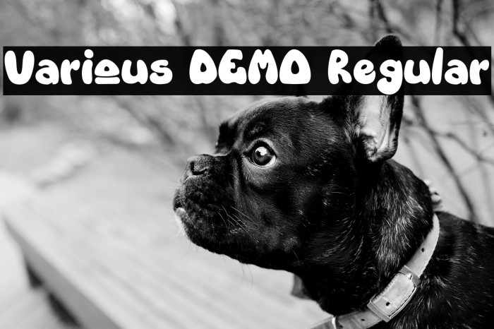 Various DEMO Regular Example 1