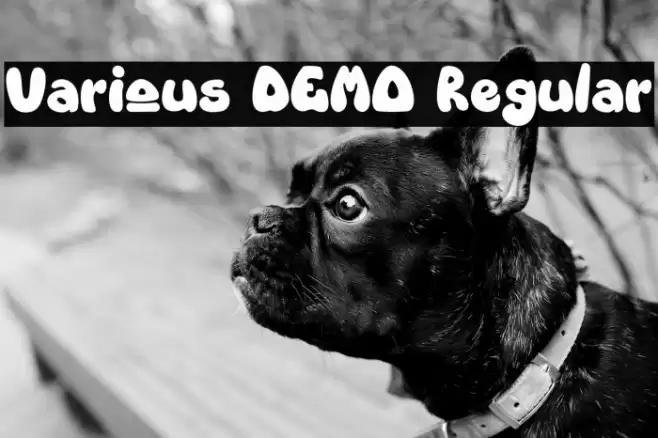 Various DEMO Regular Font examples