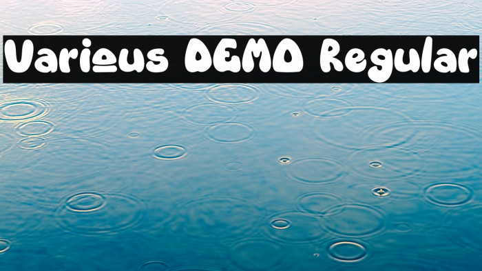 Various DEMO Regular Example 3