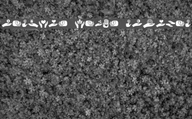 Various Hands Regular Polices examples