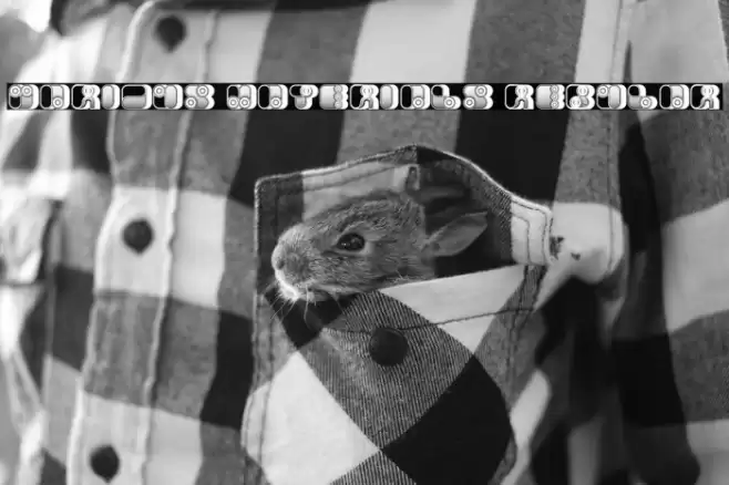 Various Materials Regular Fuentes examples