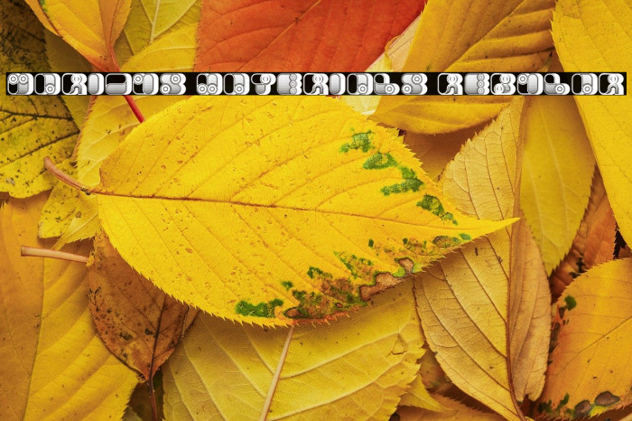 Various Materials Regular Example 2