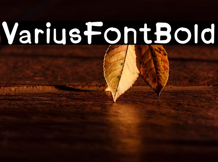 VariusFontBold Example 2