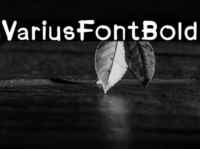VariusFontBold Font examples
