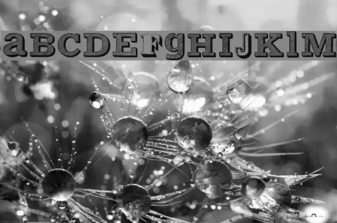 VariusMultiplexPersonalEdition Font examples