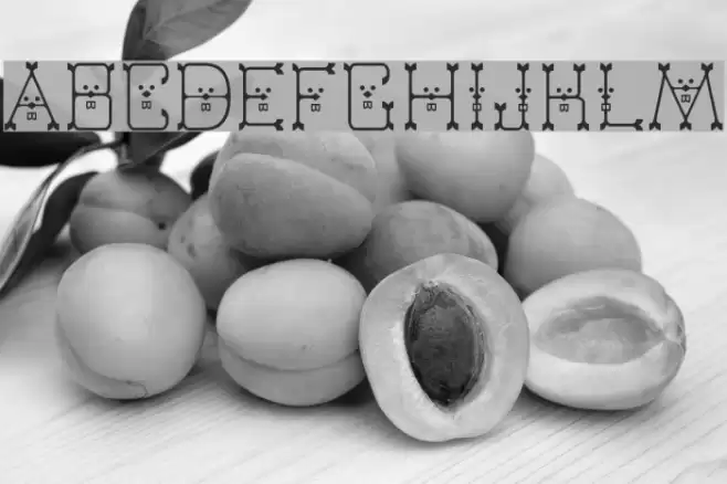 Varmint Normal خط examples