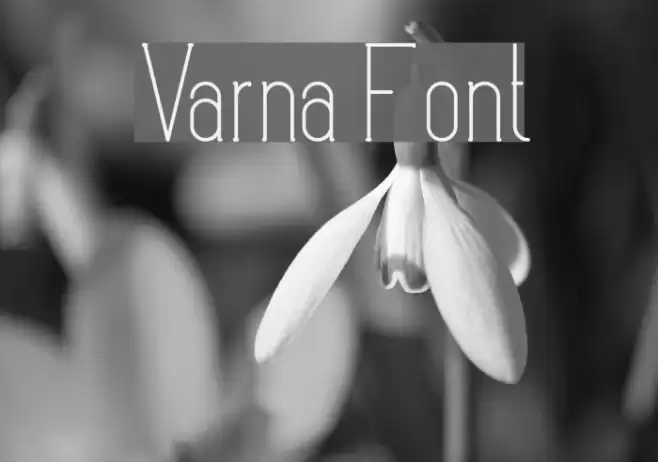 Varna Font examples