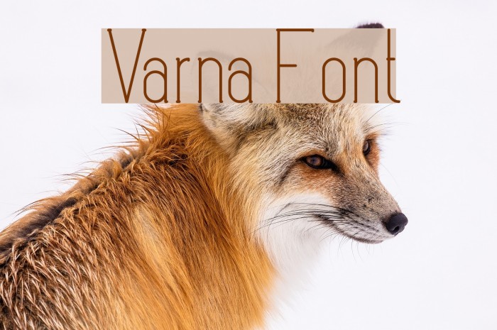 Varna Font examples