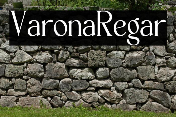 Varona Regular Example 3