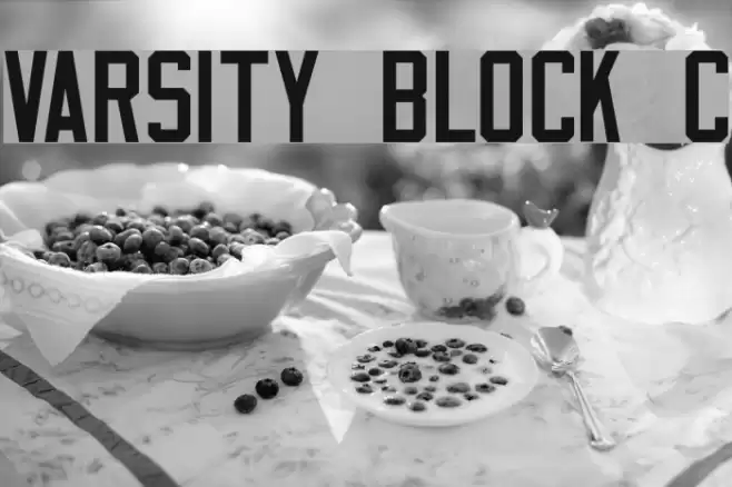 Varsity Block C Fuentes examples