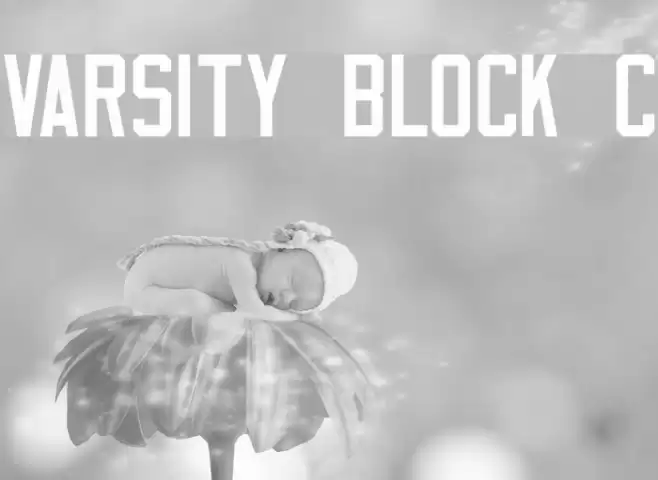 Varsity Block C Fuentes examples