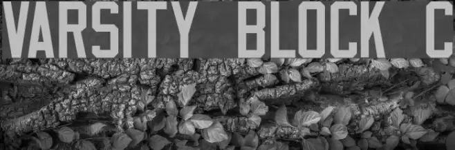 Varsity Block C Fuentes examples