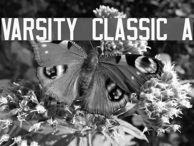 Varsity Classic A Font examples