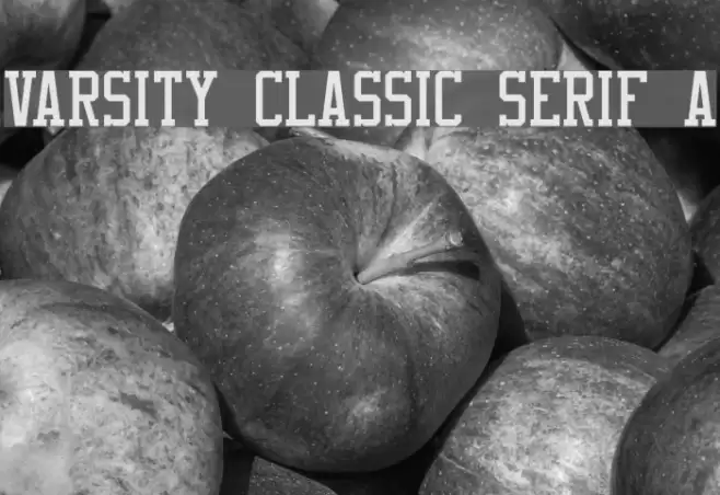 Varsity Classic Serif A Font examples