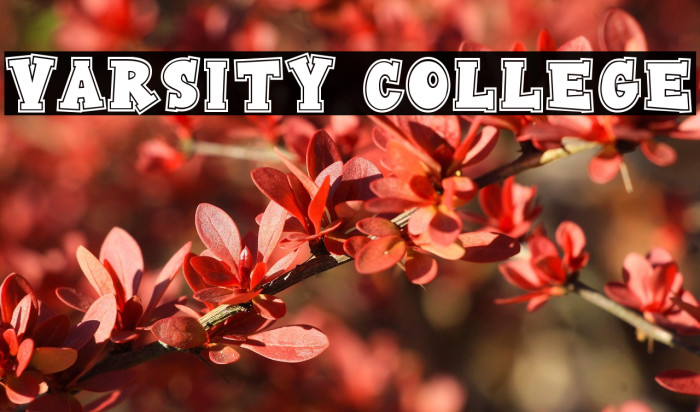 Varsity College Example 1