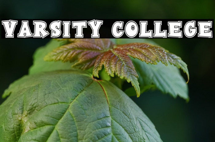 Varsity College Example 2